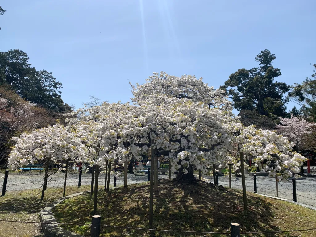 大原野神社の概要